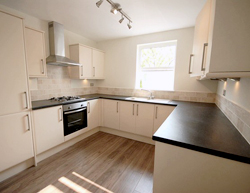 Conversion to flats of a period terraced house with extension, loft conversion, garden building
